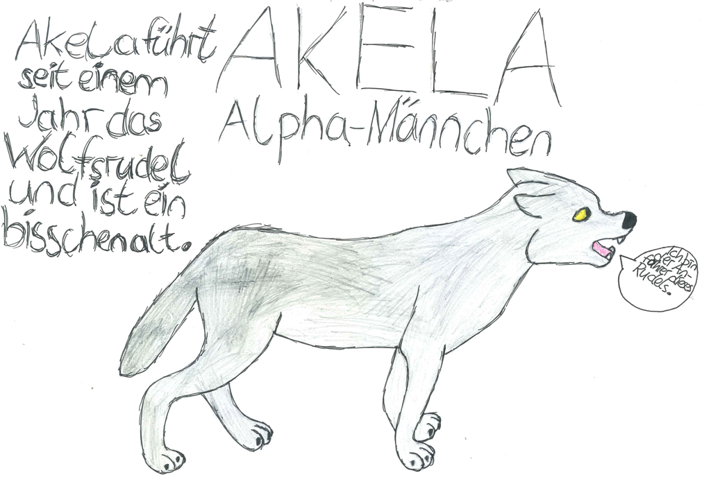 Alpha-Maennchen